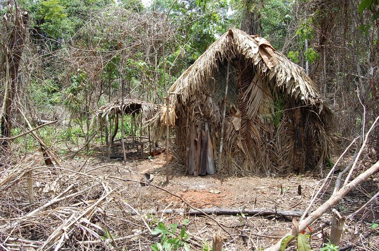 Índio Isolado da TI Tanaru - O sobrevivente que a Funai acompanha há 22 anos