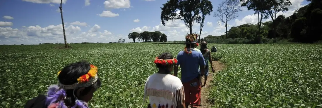 Aldeia Laranjeira Ñanderu, em Rio Brilhante (MS) Acampados na aldeia Laranjeira Ñanderu, em Rio Brilhante (MS), índios guarani-kaiowá aguardam decisão da justiça sobre a demarcação da terra. Com o futuro indefinido, eles não podem plantar e dependem das cestas básicas e da assistência governamental.