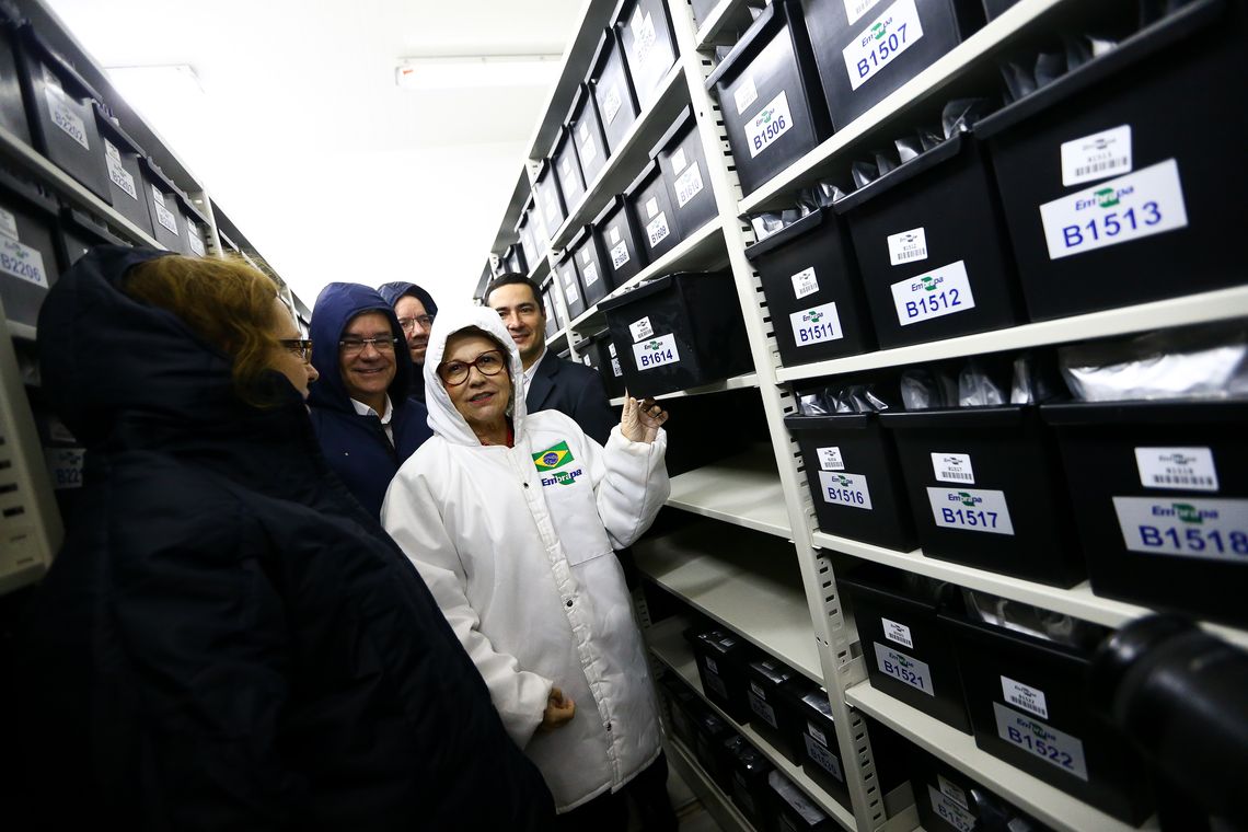 Marcelo Camargo/Agência Brasil A ministra da Agricultura, Pecuária e Abastecimento, Tereza Cristina, visita a Embrapa Recursos Genéticos e Biotecnologia, em Brasília.