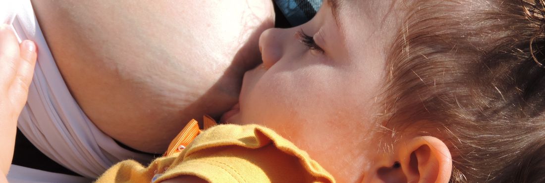 "Hora do mamaço" em Blumenau Hora do Mamaço em Blumenau reuniu mais de 50 pessoas na luta contra o preconceito pela amamentação em locais públicos