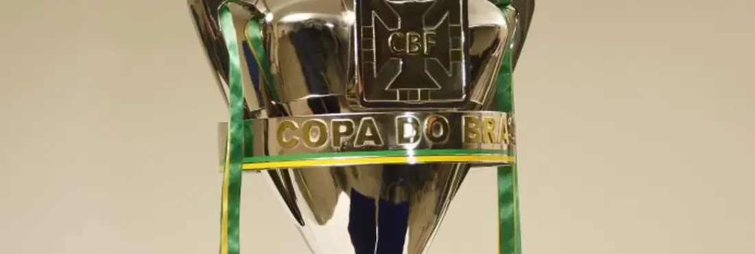 Taça da Copa do Brasil Além da taça, o clube campeão da Copa do Brasil garante uma vaga na Libertadores da América do ano que vem.