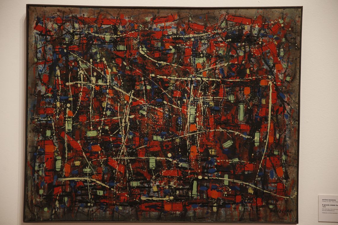 Tomaz Silva/Agência Brasil Rio de Janeiro - Exposição Diálogos Contemporâneos mostra a vivência francesa na formação de artistas brasileiros (Tomaz Silva/Agência Brasil)