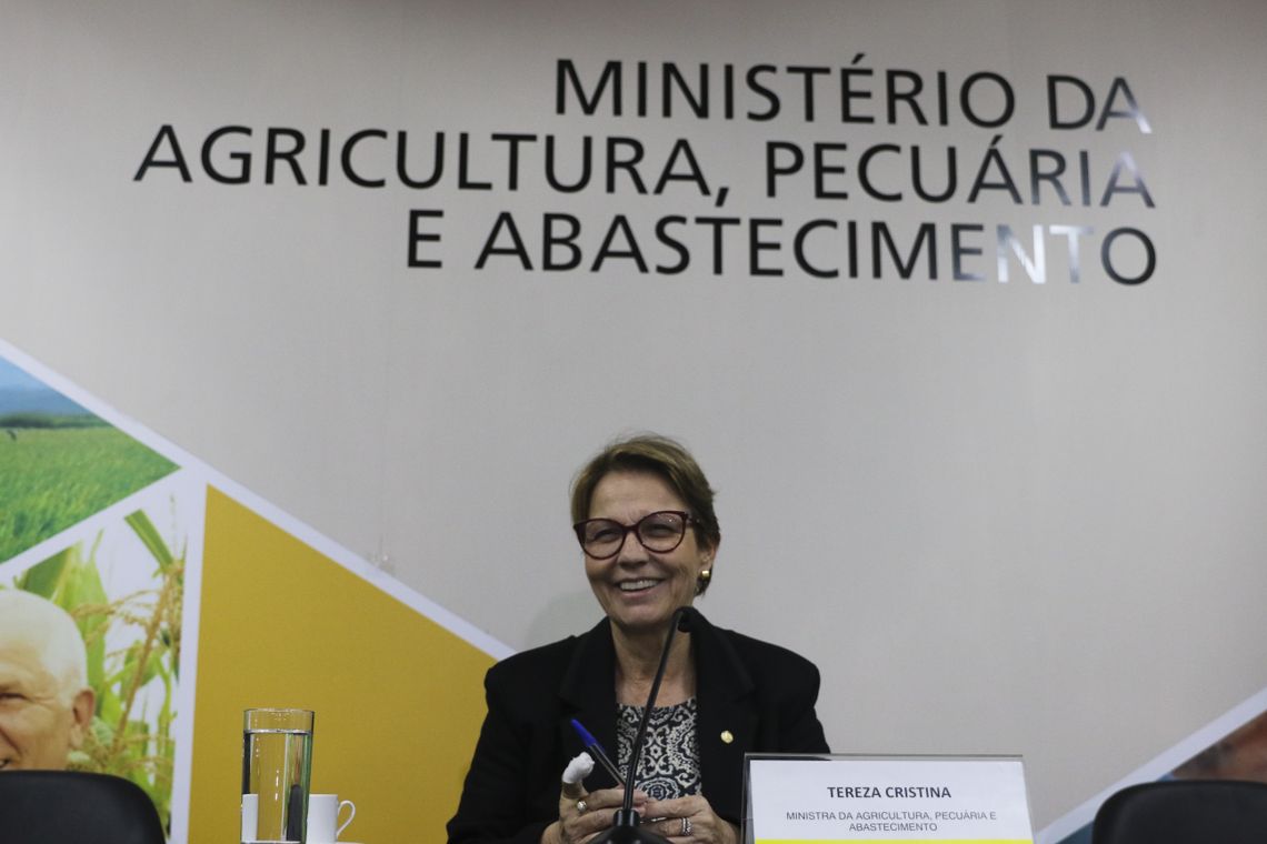 Valter Campanato/Agência Brasil A ministra da Agricultura, Pecuária e Abastecimento, Tereza Cristina, faz balanço sobre a missão oficial brasileira que visitou quatro países asiáticos (Japão, China, Vietnã e Indonésia) de 9 a 20 de maio.