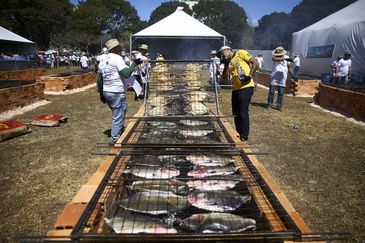 A Secretaria de Aquicultura e Pesca do Ministério da Agricultura, Pecuária e Abastecimento e o governo de Rondônia promovem o primeiro Festival Tambaqui da Amazônia no canteiro central da Esplanada dos Ministérios. 