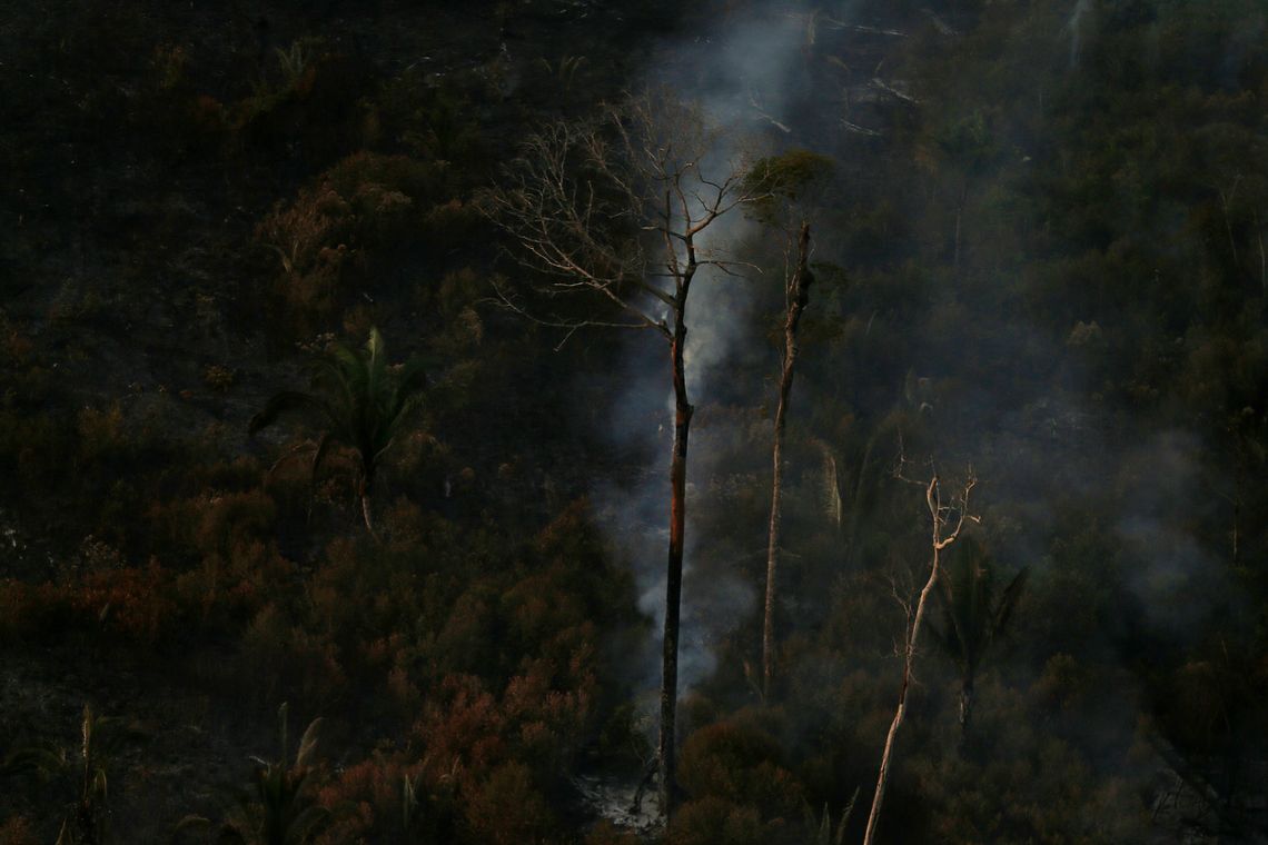 queimadas Amazônia