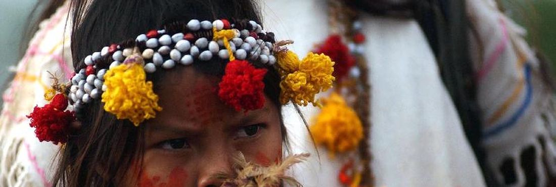 Guarani Estudo pode beneficiar indígenas, subsidiando ações judiciais pelo reconhecimento de terras indígenas