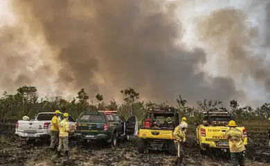 Brasília (DF) 12/09/2024 - Brigadistas do Prevfogo/Ibama e ICMBio combatem incêndios florestais na Terra Indígena Tenharim/Marmelos, no Amazonas
Foto: Mayangdi Inzaulgarat/Ibama