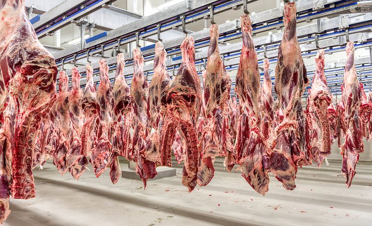 Mais 38 frigoríficos brasileiros já podem exportar carnes à China. Foto: Mapa/iStock