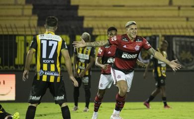 Flamengo, Volta Redonda, Pedro, Campeonato Carioca