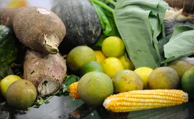 Conferência Green Rio 2015 discute estratégias para a economia verde e o setor de alimentos orgânicos no Jardim Botânico (Fernando Frazão/Agência Brasil)