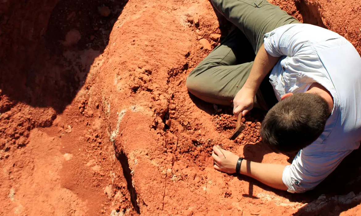 Descoberta de fóssil precursor dos pterossauros. Fotos do local da escavação - Buriol Site (São João do Polêsine, Brazil). Foto: Janaína Brand Dillmann