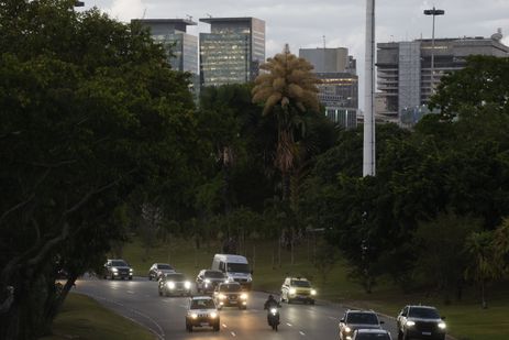 _d6a9539 Palmeiras raras florescem no Parque do Flamengo após 60 anos