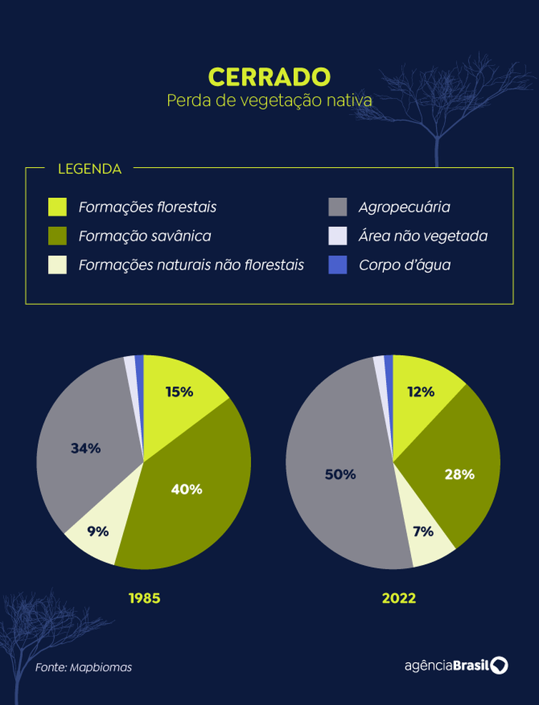 Foto: Reprodução/Agência Brasil