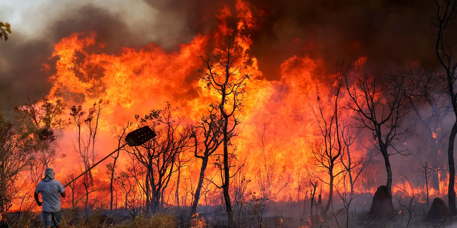 Inpe registra mais de 2 mil focos de incêndios ativos no país Inpe registra mais de 2 mil focos de incêndios ativos no país