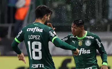 Flaco López, Palmeiras, cruzeiro, brasileiro