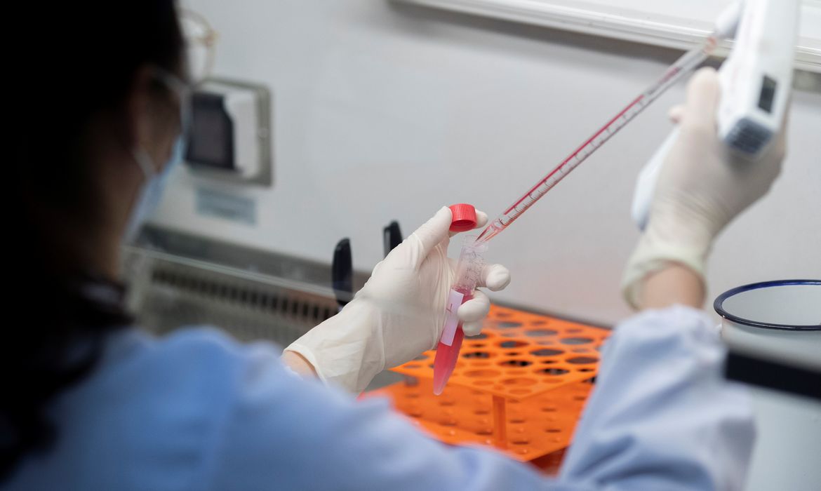 Cientista busca anticorpos para combater covid-19