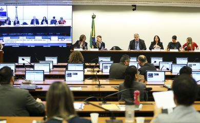 Brasília - A comissão especial da Reforma da Previdência faz audiência pública para debater seguridade social e a condição da mulher (Marcelo Camargo/Agência Brasil)