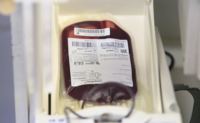 Pessoas participam de campanha de doação de sangue.