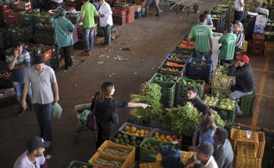 No Ceasa-DF, movimentação de descarga de hortifruti. 