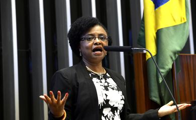 Brasília - A ministra das Mulheres, da Igualdade Racial e dos Direitos Humanos, Nilma Lino Gomes, participa de sessão solene na Câmara em homenagem ao Dia Internacional de Luta Contra a Discriminação Racial - Em Defesa da Juventude Negra 