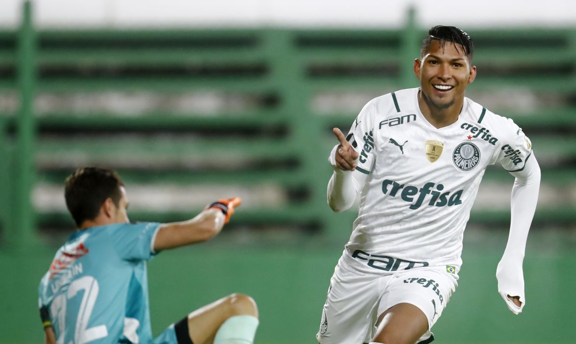 Defensa y Justicia, Palmeiras, copa libertadores