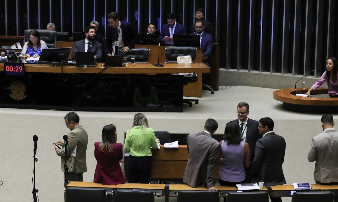 Brasília (DF) 17/10/2024 Câmara dos Deputados durante sessão plenária virtual para a votação de projetos. Foto Lula Marques/ Agência Brasil