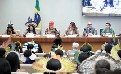 Brasília (DF) 05/08/2025 - Comissão da Amazônia e dos Povos Originários e Tradicionais, Comissão de Meio Ambiente e Desenvolvimento Sustentável e Comissão de Defesa dos Direitos da Mulher durante o Seminário - COP 30 - Um compromisso com as vidas que sustentam os biomas. Foto: Bruno Spada/Câmara dos Deputados