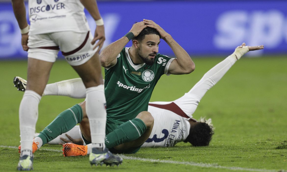palmeiras, libertadores, ldu