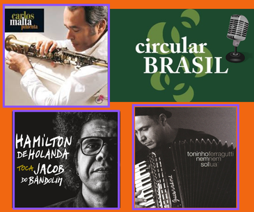 Circular Brasil programa 8