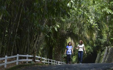 São Paulo - Secretaria da Saúde reabre o Horto Florestal após campanha de vacinação  contra febre amarela da população da zona norte (Rovena Rosa/Agência Brasil)