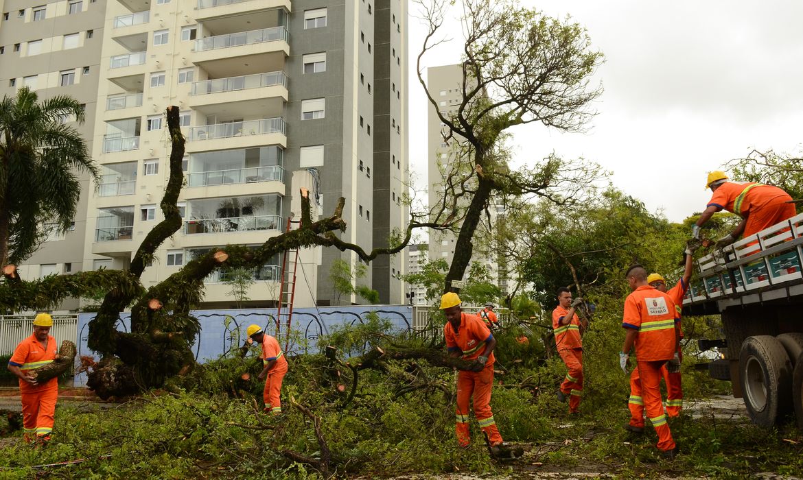 São Paulo - Temporal na tarde de ontem (20) derrubou árvores, danificou casas, postes, e causou falta de energia em ruas do bairro da Lapa, região oeste (Rovena Rosa/Agência Brasil)