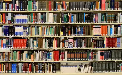 Biblioteca, Livros, Estantes de livros. Foto: ElasticComputeFarm/PixaBay