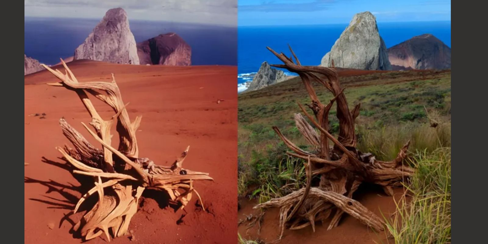 Recuperação Ambiental na Ilha da Trindade (ES): Iniciativas Sustentáveis Para Preservar a Riqueza Natural e Turística.