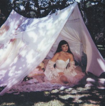 capa do álbum Maravilhosamente bem/Divulgação capa do álbum Maravilhosamente bem