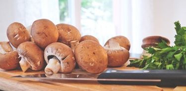 O cogumelo é rico em proteína, vitaminas e fibras e é usado em receitas para substituir a carne 
