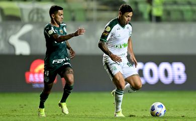 América-MG, Palmeiras, Brasileiro