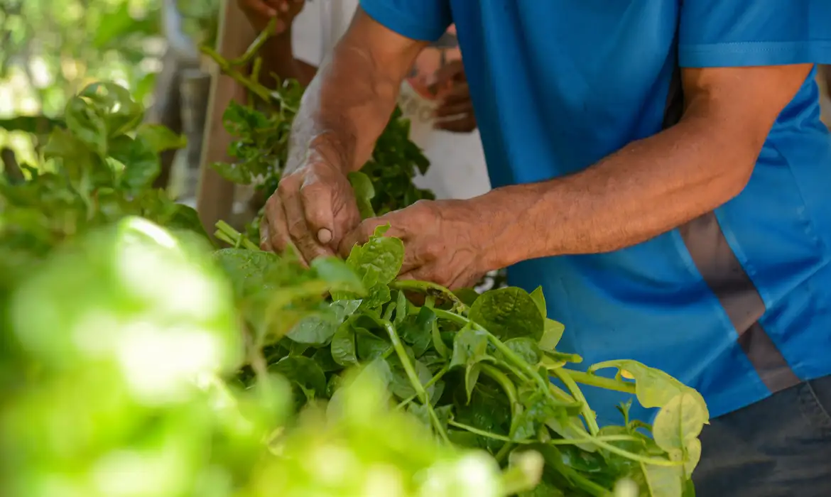 Justia: governo ter dois anos para regularizar quilombos no Maranho