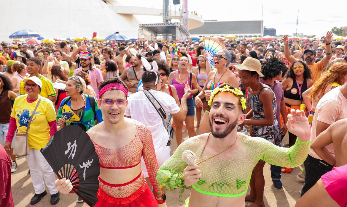 Folies capricham nas fantasias no carnaval de Braslia
