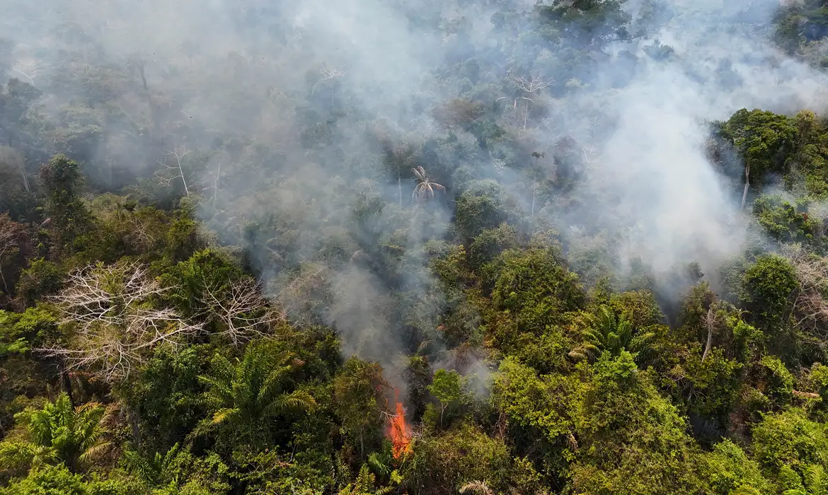 Uma imagem de drone mostra um incêndio na floresta na terra indígena Novo Paraíso, em Bonfim, Roraima, em 1º de março de 2024. REUTERS/Bruno Kelly