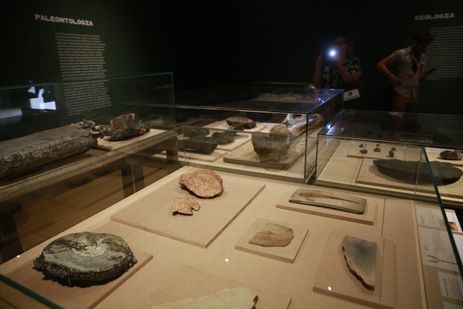 Fósseis na exposição Museu Nacional Vive - Arqueologia do Resgate, a primeira com peças retiradas do incêndio, no Centro Cultural Banco do Brasil.