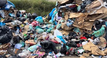 Caminhos da Reportagem - Valor do lixo - A correta segregação do lixo é fundamental para o sucesso da reciclagem nas cooperativas.