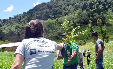 Entrega de muda para plantio de Sistema Agroflorestal (SAF), que combina espécies de árvores nativas com espécies produtivas, como frutíferas ou madeireiras.