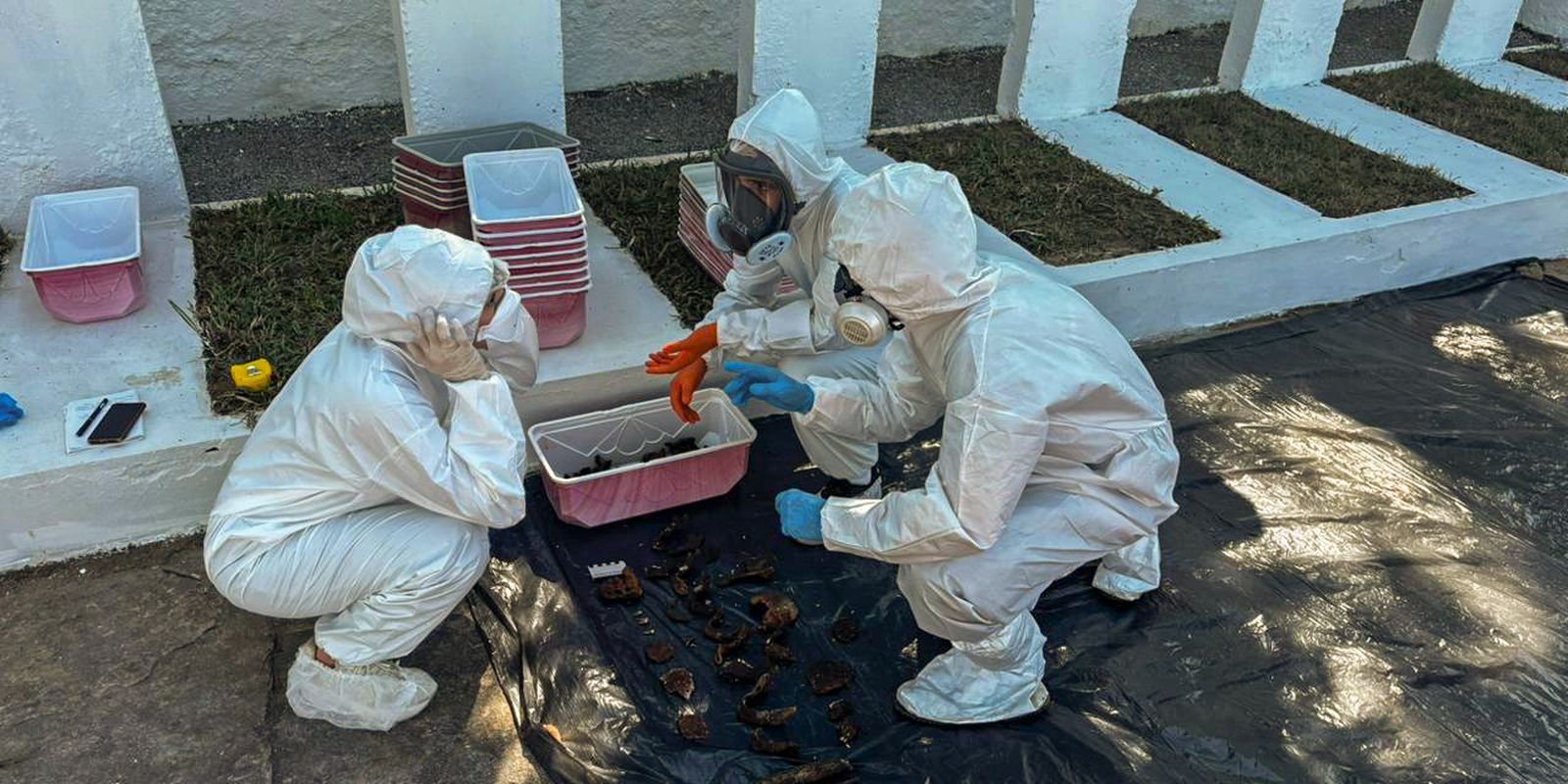 Rio: equipe encontra memorial para mortos da ditadura em deterioração Rio: equipe encontra memorial para mortos da ditadura em deterioração