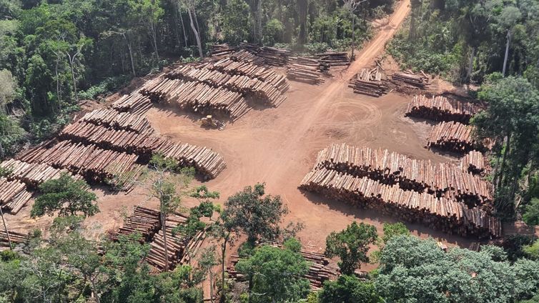 Polícia Federal na divisa do Pará com o Amazonas