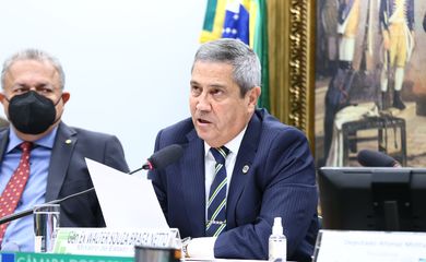 Ministro de Estado da Defesa, Walter Braga Netto