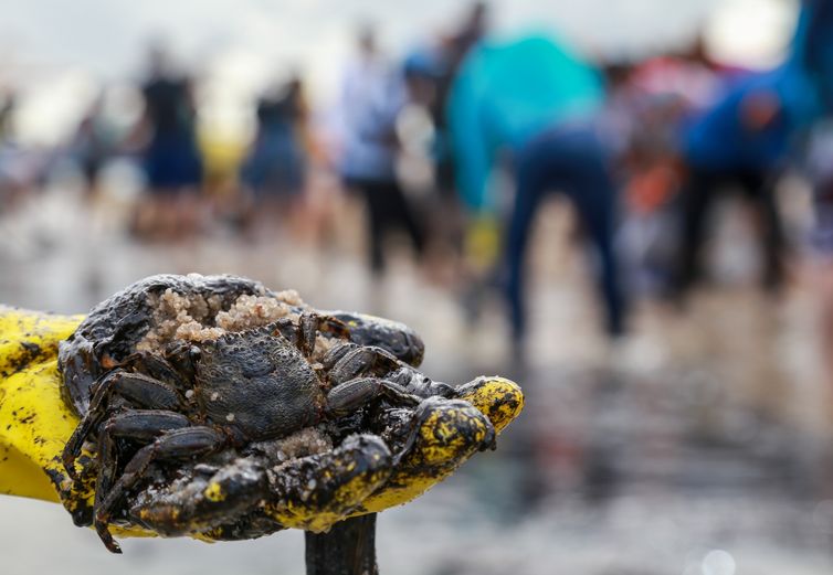 As pessoas trabalham para remover um derramamento de óleo na praia de Suape, em Cabo de Santo Agostinho, Pernambuco, Brasil, 20 de outubro de 2019.