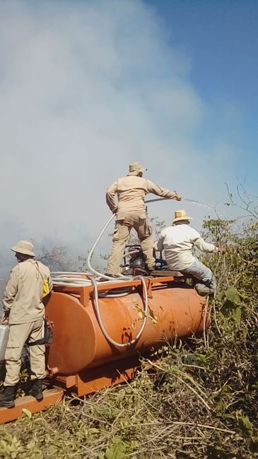 Incêndio atinge o Pantanal no mês de julho.