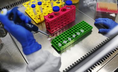 Um pesquisador do Instituto de Biologia da Universidade Federal do Rio de Janeiro (UFRJ) trabalha para desenvolver um novo teste para detectar infecções por coronavírus