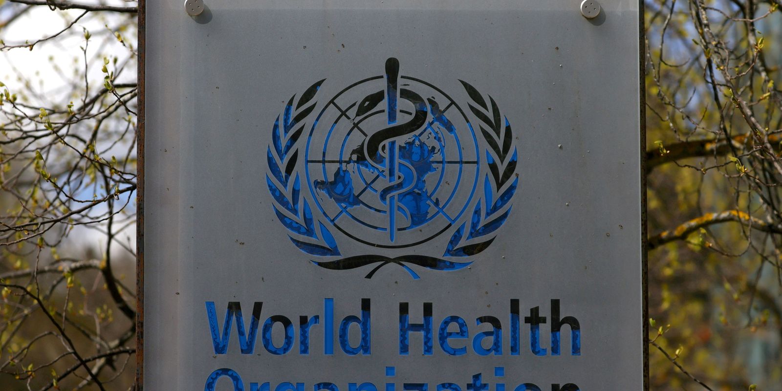 La Organización Mundial de la Salud recomienda cambiar el nombre de monkeypox a mmax