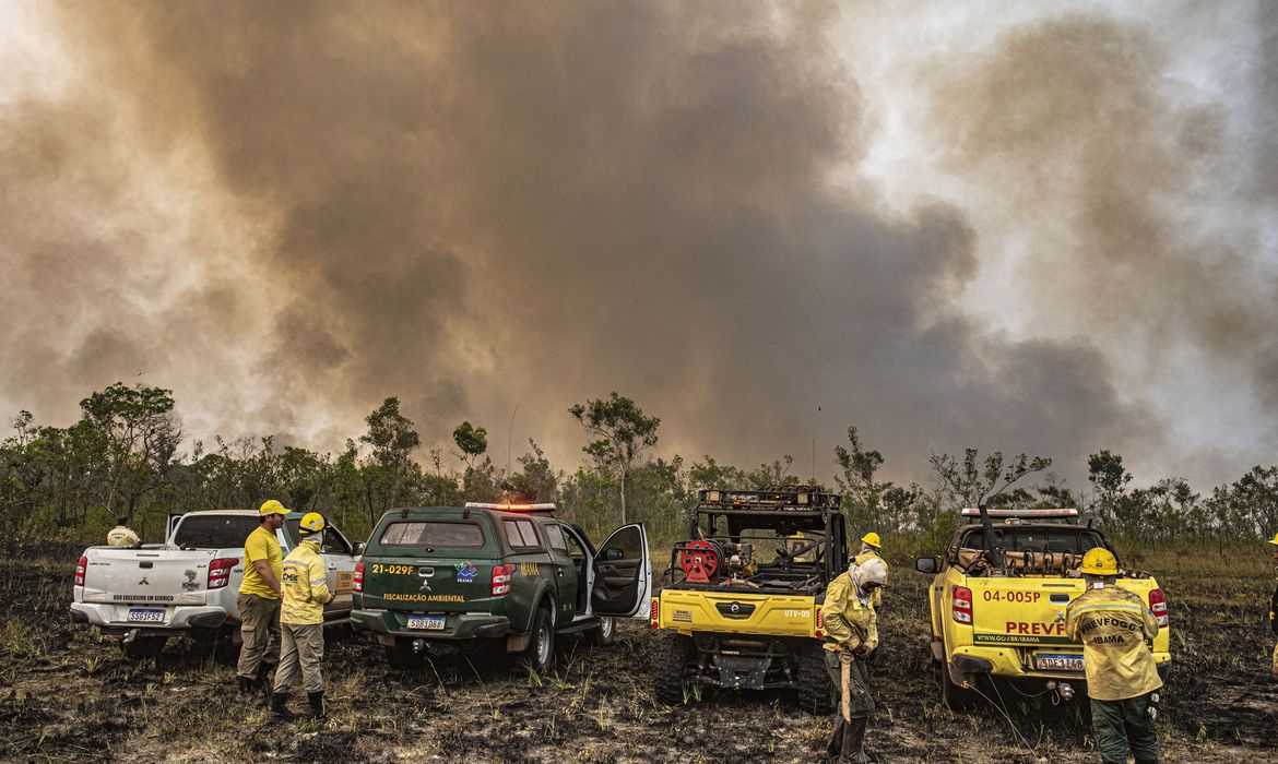 Brasília (DF) 12/09/2024 - Brigadistas do Prevfogo/Ibama e ICMBio combatem incêndios florestais na Terra Indígena Tenharim/Marmelos, no Amazonas
Foto: Mayangdi Inzaulgarat/Ibama